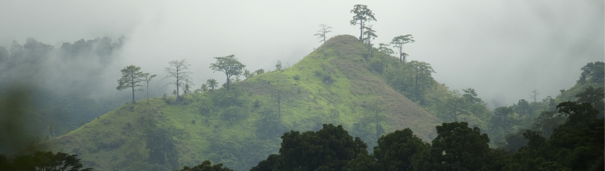 kaoka cacao protège forêt