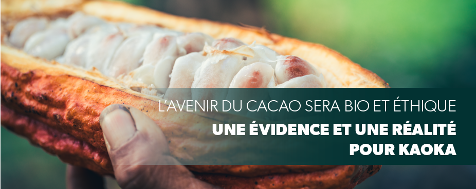 journee mondiale du chocolat